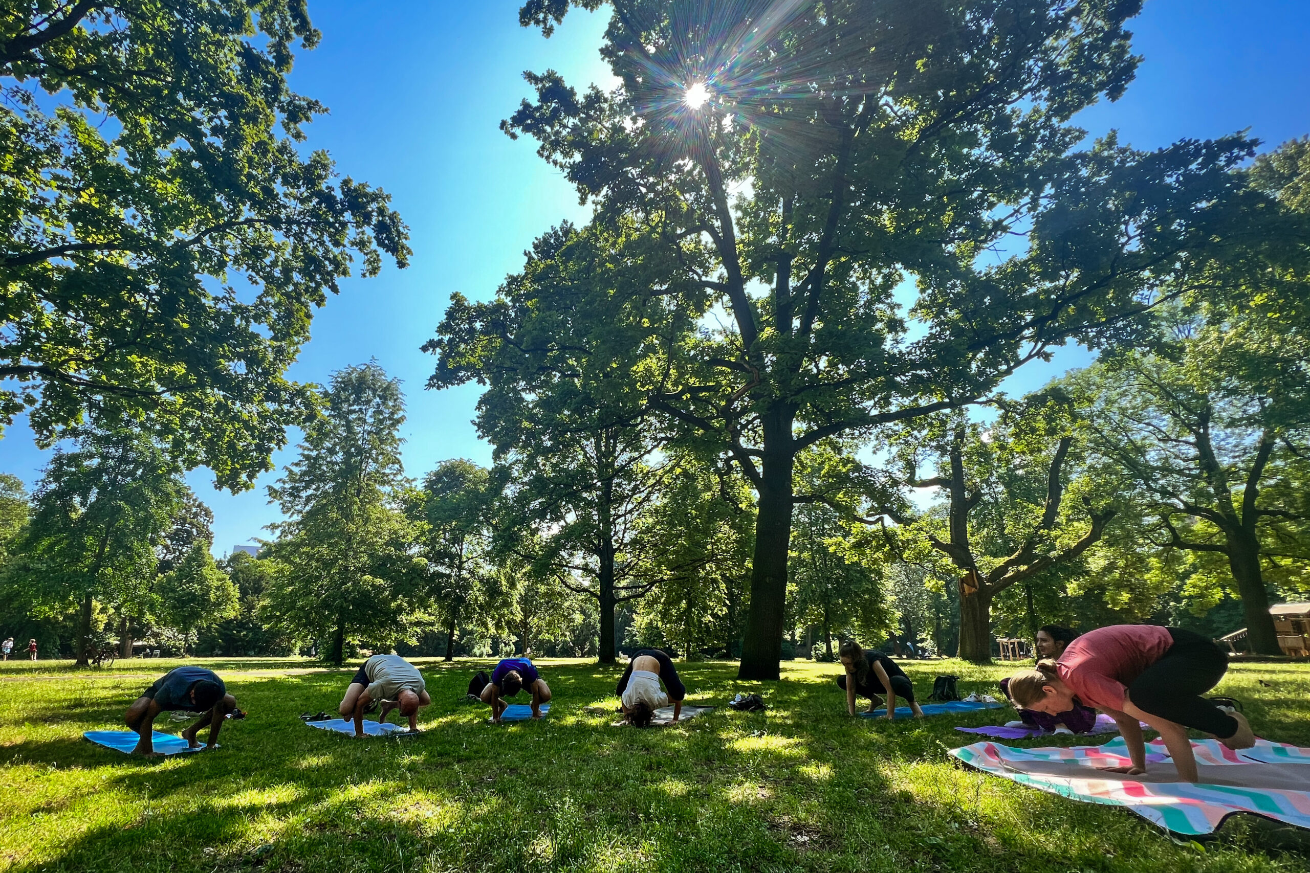 Global Locals Yoga in the Park