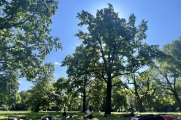 Global Locals Yoga in the Park