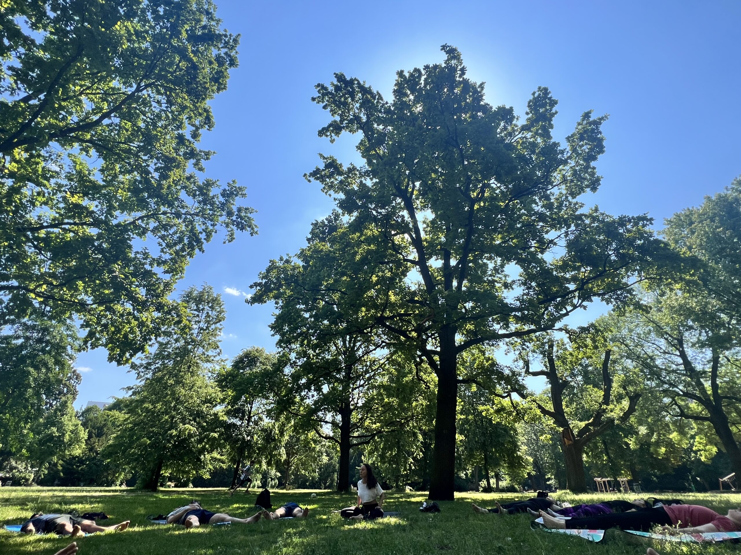 Global Locals Yoga in the Park