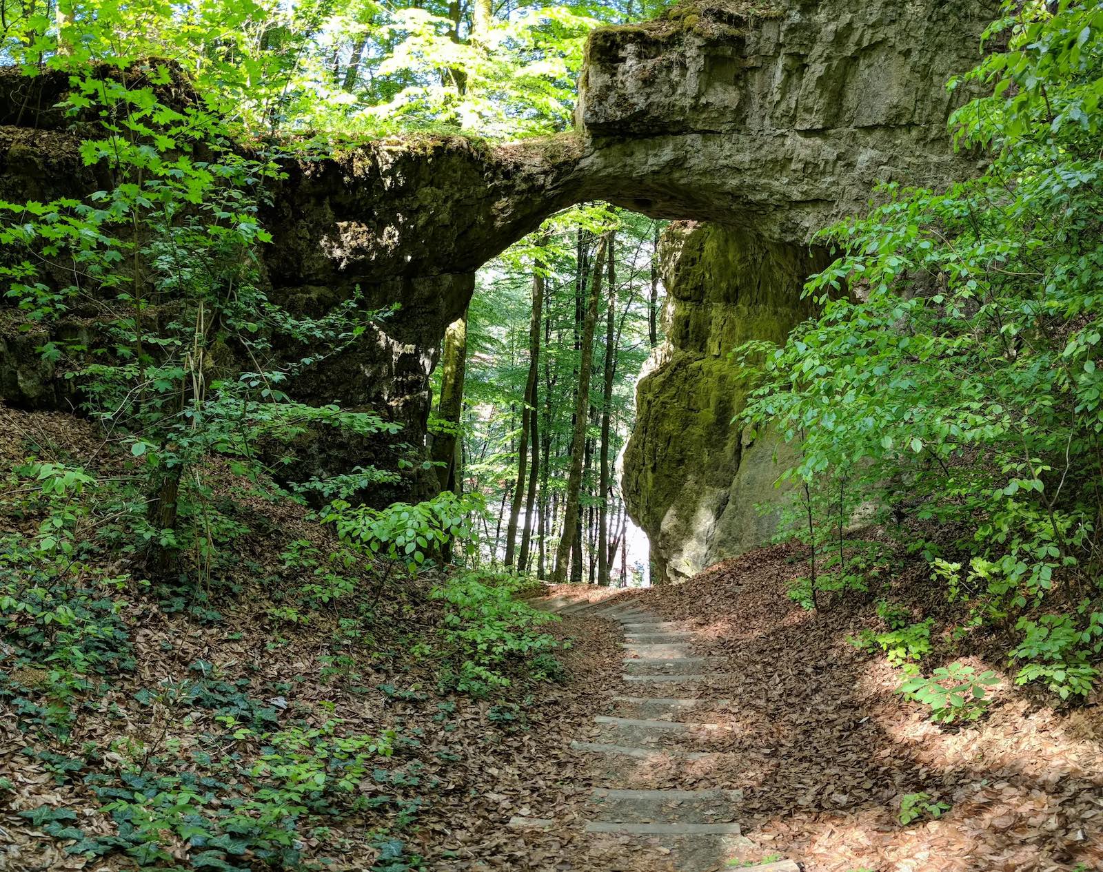 Global Locals Hike to Rock Arch